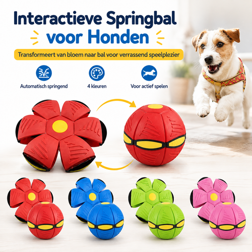 FlipFetch™ – 2-in-1 Frisbee & Bal voor Honden