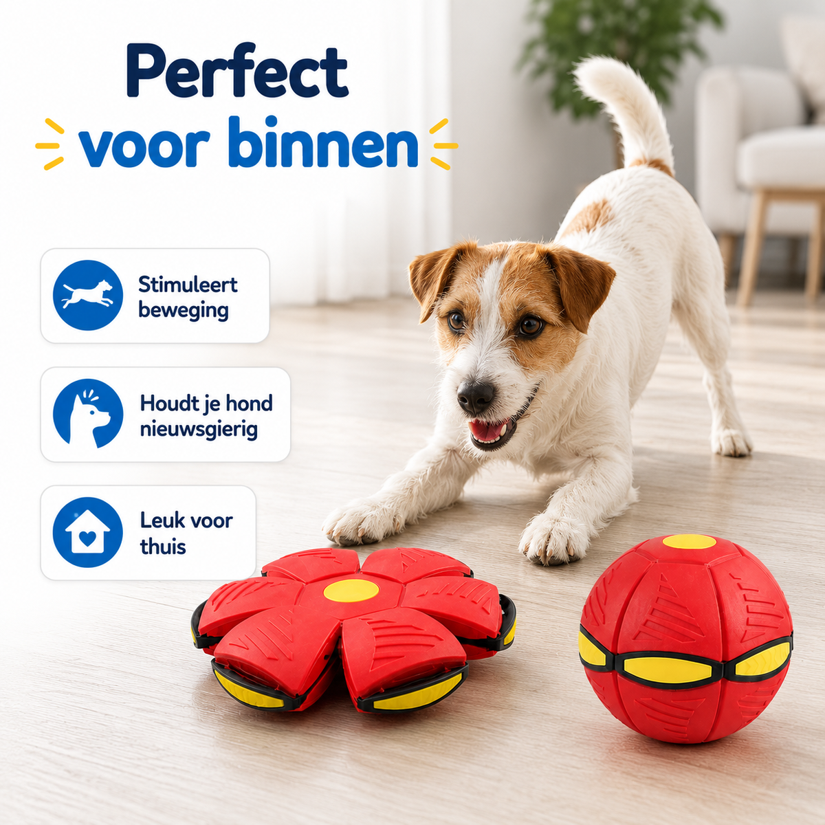 FlipFetch™ – 2-in-1 Frisbee & Bal voor Honden
