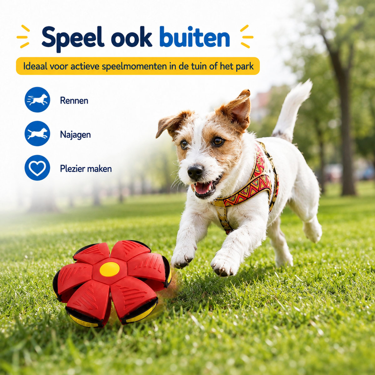 FlipFetch™ – 2-in-1 Frisbee & Bal voor Honden