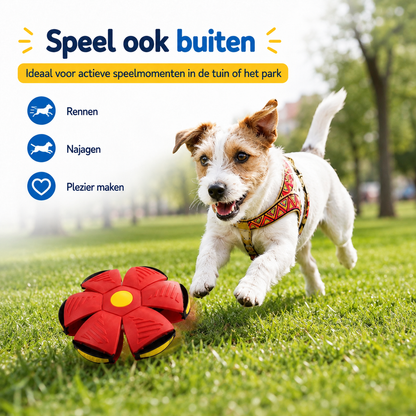 FlipFetch™ – 2-in-1 Frisbee & Bal voor Honden