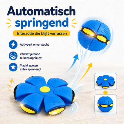 FlipFetch™ – 2-in-1 Frisbee & Bal voor Honden
