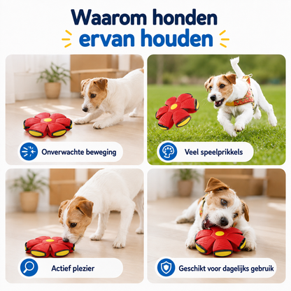 FlipFetch™ – 2-in-1 Frisbee & Bal voor Honden