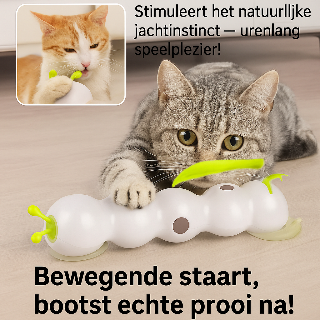 PlayTail™- Dé oplossing tegen verveling, stress en overgewicht bij binnenkatten!