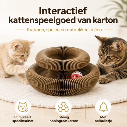 FlexiPaw™ – Flexibele Krab- & Speelplek voor Katten