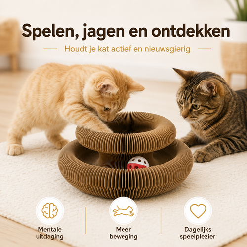 FlexiPaw™ – Flexibele Krab- & Speelplek voor Katten