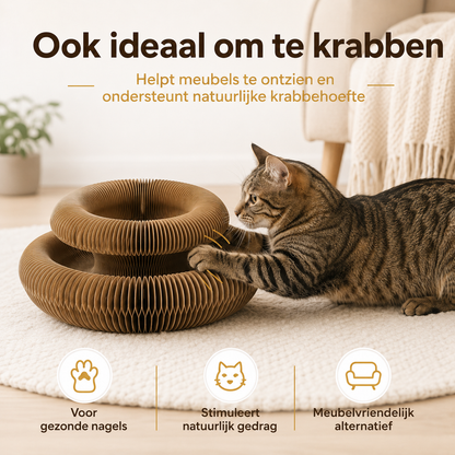 FlexiPaw™ – Flexibele Krab- & Speelplek voor Katten
