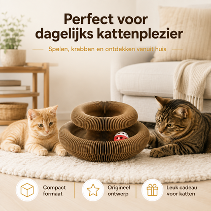 FlexiPaw™ – Flexibele Krab- & Speelplek voor Katten