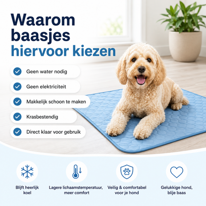 CoolNest™ – Zelf koelende Mat voor Honden & Katten