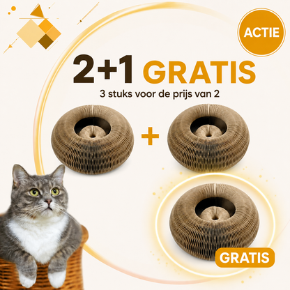 FlexiPaw™ – Flexibele Krab- & Speelplek voor Katten
