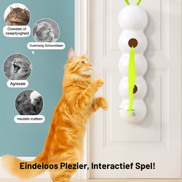 PlayTail™- Dé oplossing tegen verveling, stress en overgewicht bij binnenkatten!