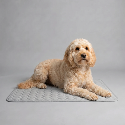 CoolNest™ – Zelf koelende Mat voor Honden & Katten